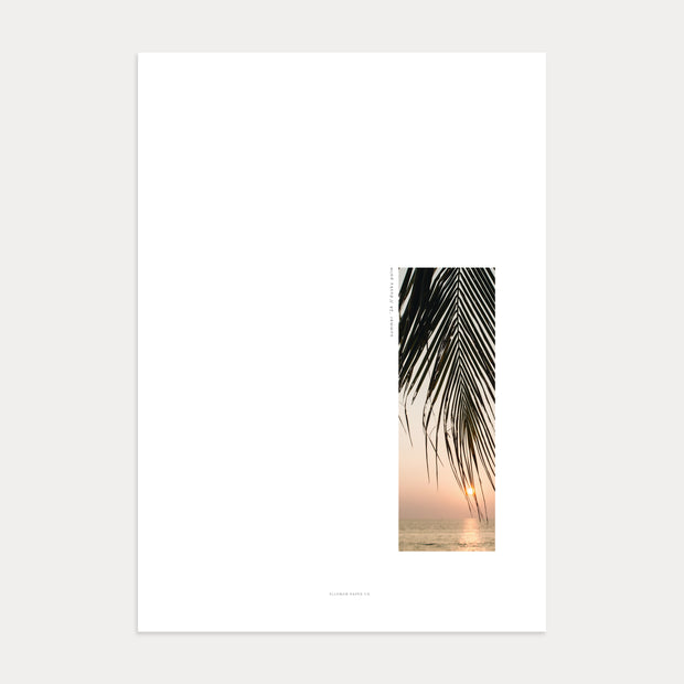 Dusky Palm Dashboard