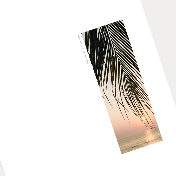 Dusky Palm Dashboard