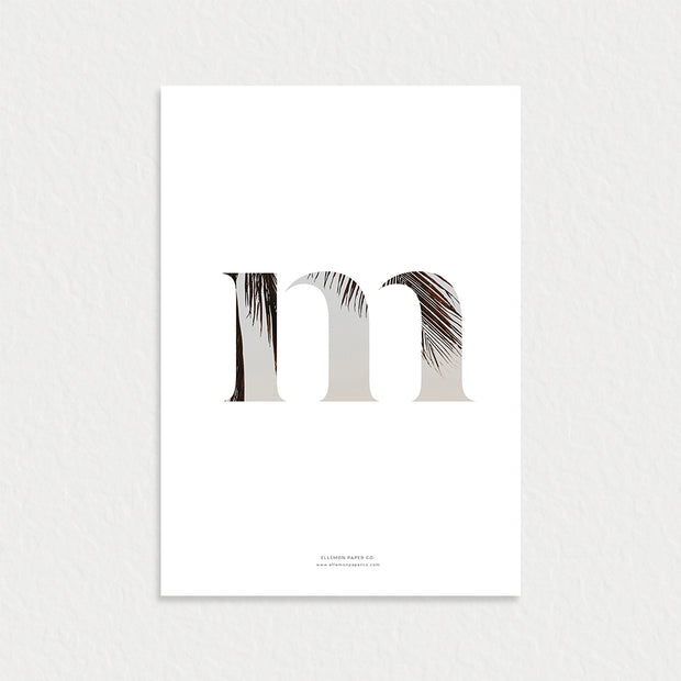 Palm Monogram Dashboard