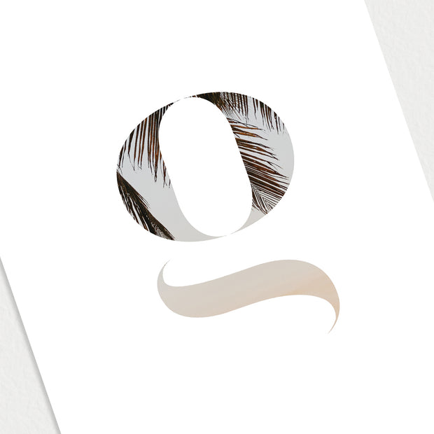 Palm Monogram Dashboard